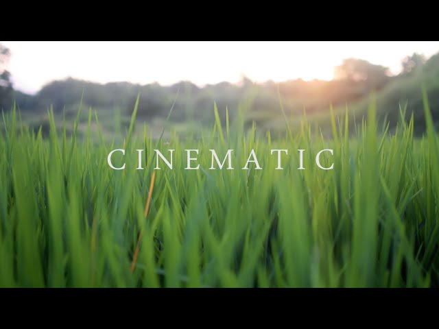 4K Nature Cinematography | Cinematic Background Music NO COPYRIGHT !!! NIKON D5300