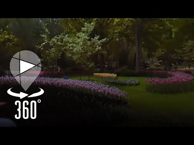 TREXPLOR presents Keukenhof Garden, Netherlands in VR