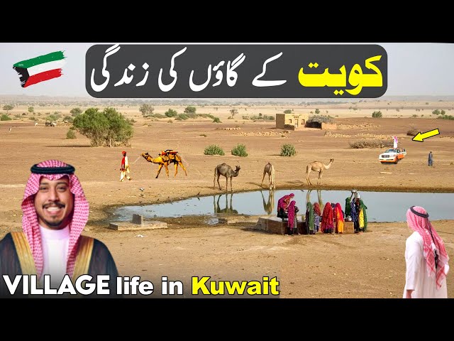 Kuwait 🇰🇼 Village Rural life Documentary in Urdu and Hindi | کویت کے گاؤں کی زندگی