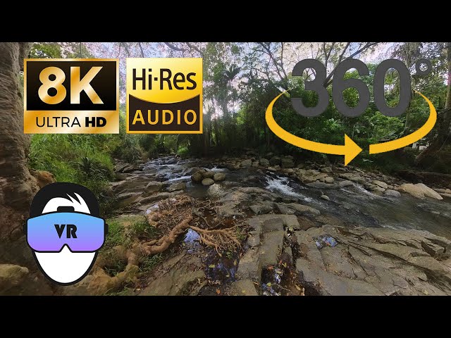 VR Sri Lanka : Watch the River Flow Through the Jungle | 360° VR 8K ASMR 🌿🎧