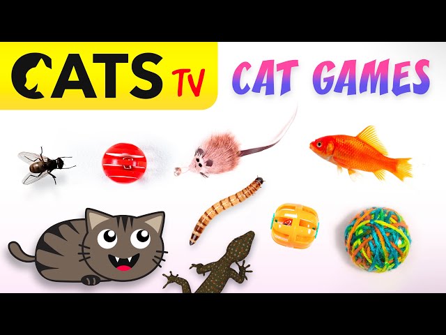 CAT TV 📺🐭 2025 Ultimate Compilation #03 🐛😻🐟 Best games for cats in 4K