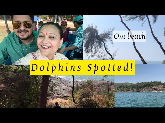 Dolphins spotted !! Om beach|| Gokarana