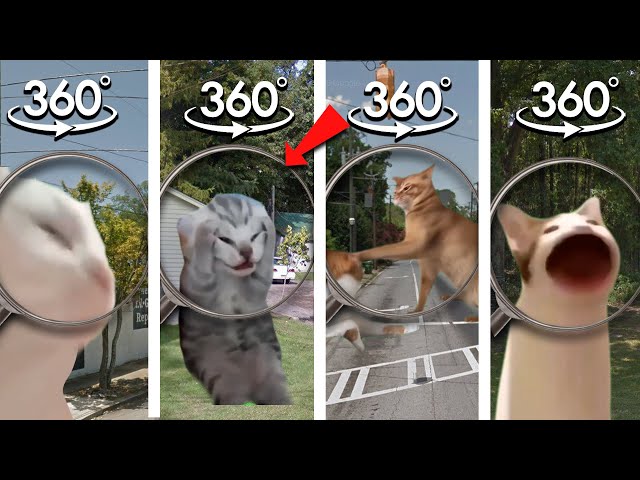 FIND ALL CAT MEME | Cat Vibing, Kitten, Pop Cat Finding Challenge 360° VR Video