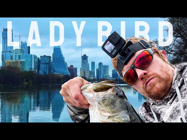 There Are So Many BIG FISH In This Small Urban Lake || ATX Fishing