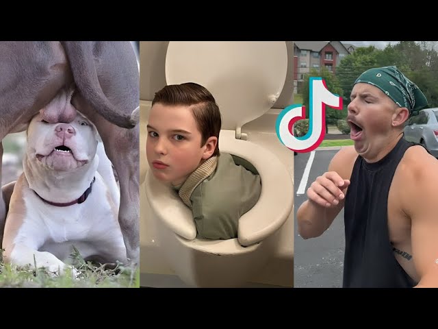 Funny TikToks that Had me Rolling on the Floor! PT.20