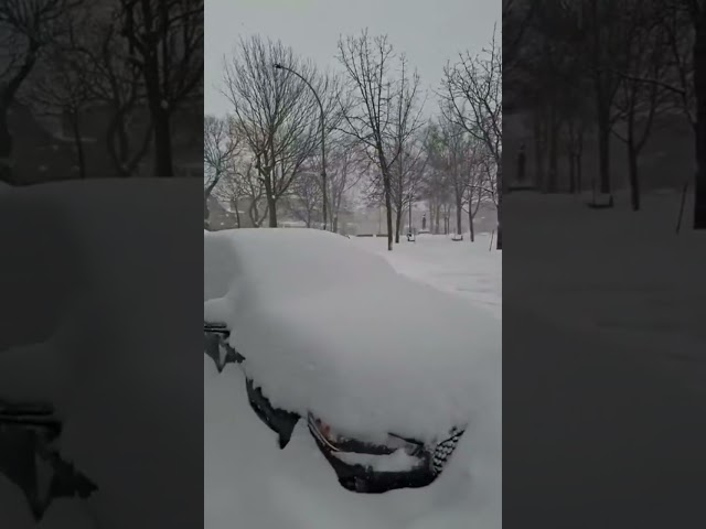 Snow storming in Montreal