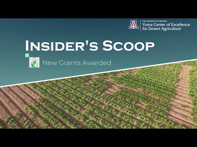 Insider's Scoop - New Grants Awarded