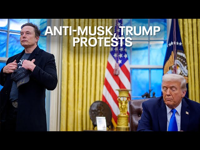 Bay Area protesters take aim at Trump, Musk | KTVU