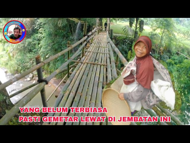 BIKIN LUTUT GEMETAR LEWAT JEMBATAN INI, JEMBATAN BAMBU DI ATAS SUNGAI YANG BESAR.