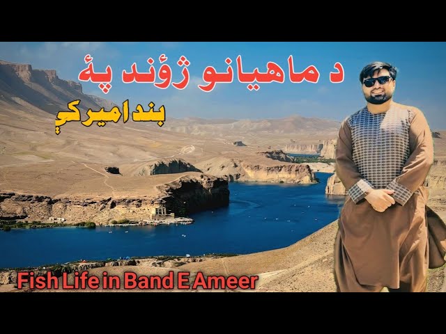 Hidden Treasures of Bamiyan: The Heart of Afghanistan” د بند امیر پهٔ اوبو کې د ماهیانو ژؤند