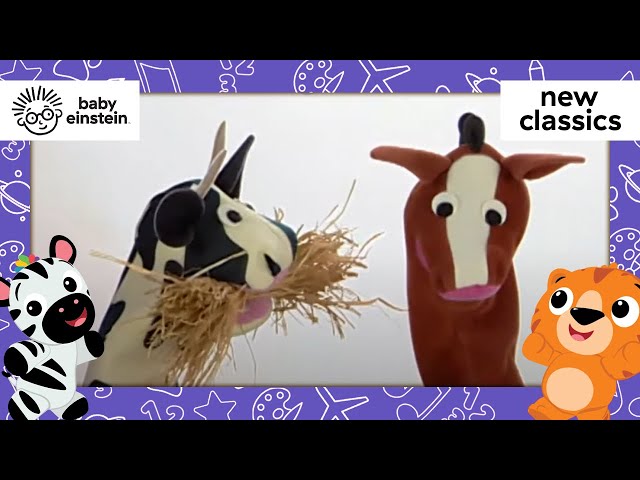 All About Horses & Cows | New Classics | Baby Einstein | Toddlers Learning Show | Kids Cartoons