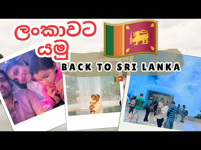 Back  to Sri Lanka 🇱🇰 |ලංකාවට යමුද🥰🥹|Sinhala