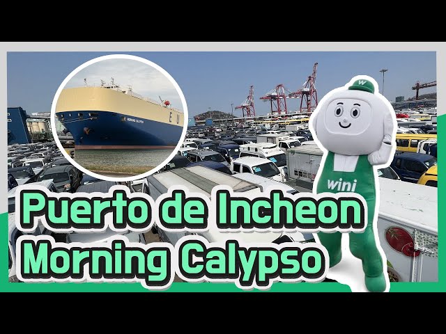 Puerto de Incheon- Morning Calypso