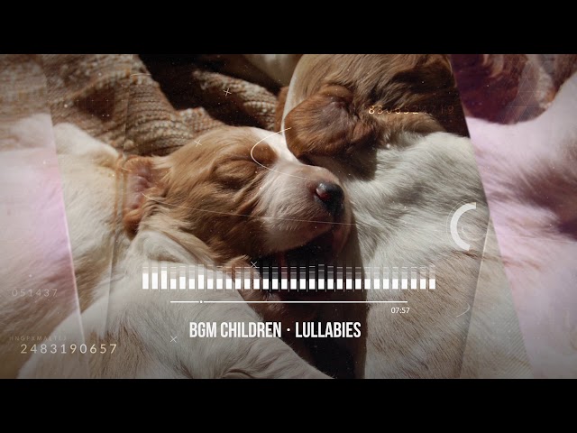 🎧Lullaby♫lullabies for babies to go to sleep♫