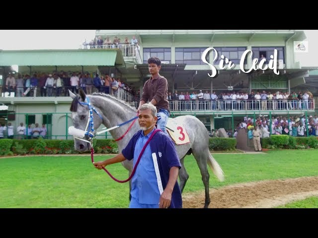 Colts Championship Stakes 2018 - Sir Cecil