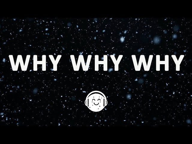 Shawn Mendes - Why Why Why (Lyrics)