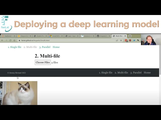 Lesson 2: Practical Deep Learning for Coders 2022