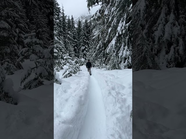 Walking through snow #travel #tourism #snowfall #season #winter