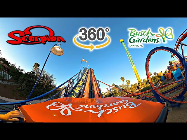 VR 360 Scorpion Roller Coaster On RIde Front Seat POV Busch Gardens Tampa 2023 10 31