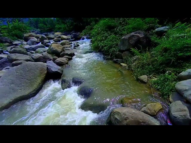 Nature Sounds Waterfall for Relaxation Meditation Relaxing Calm River Water flow for Sleeping