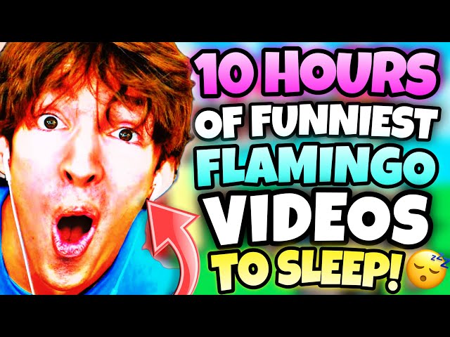 *10 HOURS* OF “FUNNIEST” FLAMINGO VIDEOS! (ROBLOX/MARATHON)