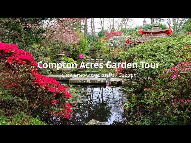 Japanese Garden Spring Tour - Compton Acres UK | Our Japanese Garden Escape