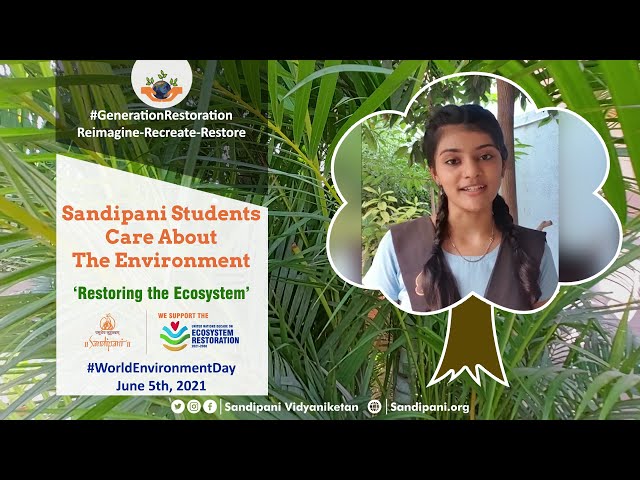 Sandipani Gurukul students share their sentiments World Environment Day | #VidyaVivekVikas