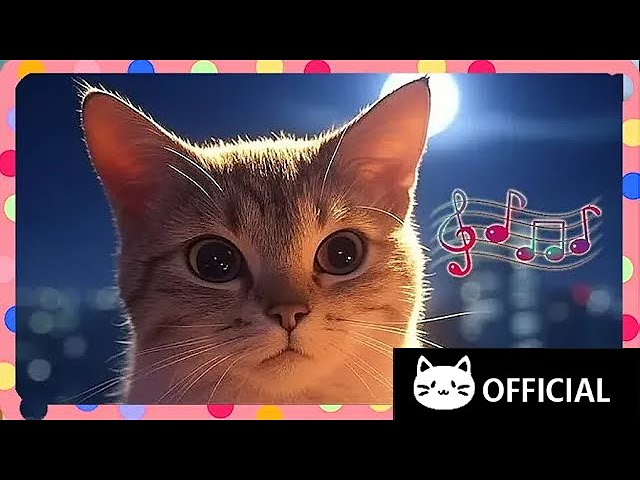 Meow and Shine | Music to Soothe Your Soul 🎶