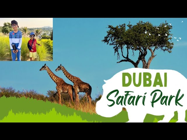 Dubai Safari Park 🐯🐆🦒 🐘🐒| Arabian Desert | Full Tour | Safari Tour #dubaisafaripark #dubai