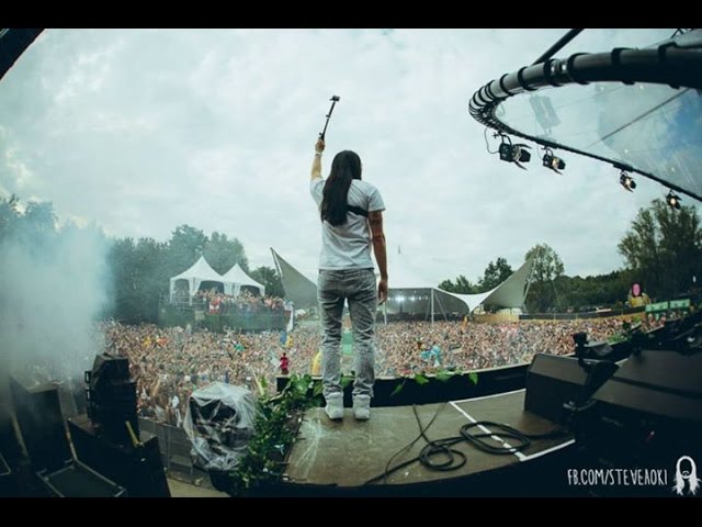 Steve Aoki Live At Tomorrowland 2014 - Dim Mak Stage Set