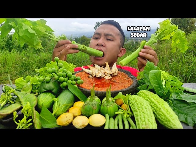 MUKBANG LALAPAN SEGAR - LALAPAN MENTAH - RUJAK SAYUR - SABEL TOMAT SUPER PEDAS