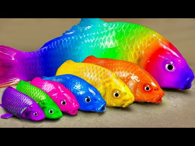 Cartoon Stop Motion ASMR - Believe This Fishing? Big Red fish Carp eel videos Mudfish Cooking