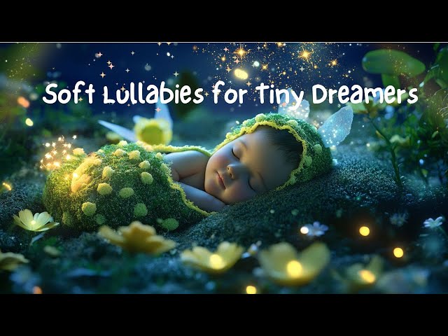 Dreamy Avocado Nights: Soft Lullabies for Tiny Dreamers