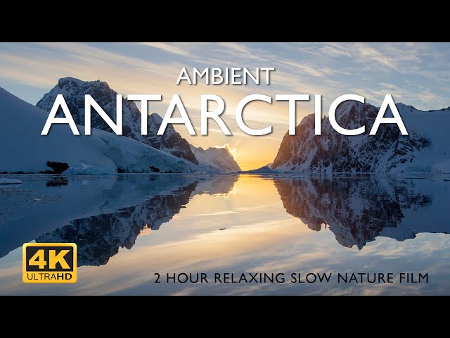 Ambient Antarctica 4K | 2-hour relaxing slow nature film