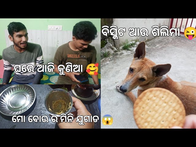 Ghare Aji Kunia 🥰। odia vlog #vlog #dailyvlog #odisha #odiavlog @shortsofmonali