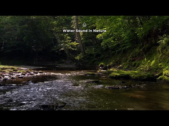 The soothing sound of water. Gentle river sounds and birdsong. For relaxation and concentration.