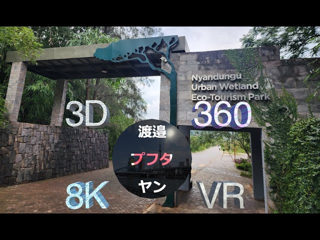 Nyandungu Urban Wetland Eco-tourism Park "Sightseeing in Rwanda"  360° 3D 8K VR