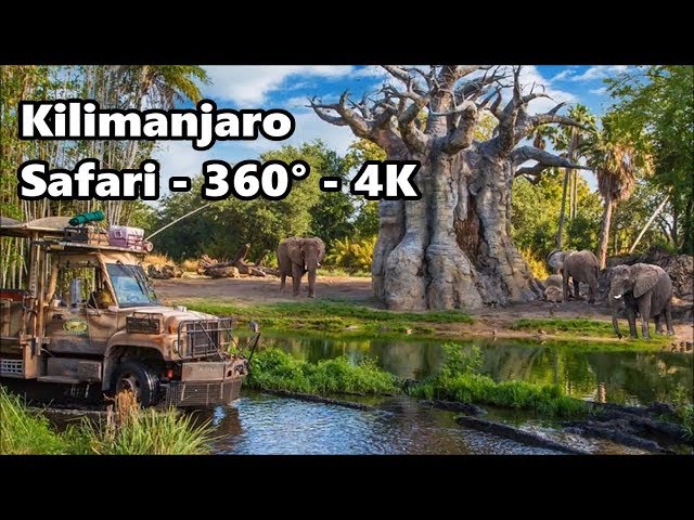 360° 4K - Kilimanjaro Safari | Full Ride | Disney's Animal Kingdom