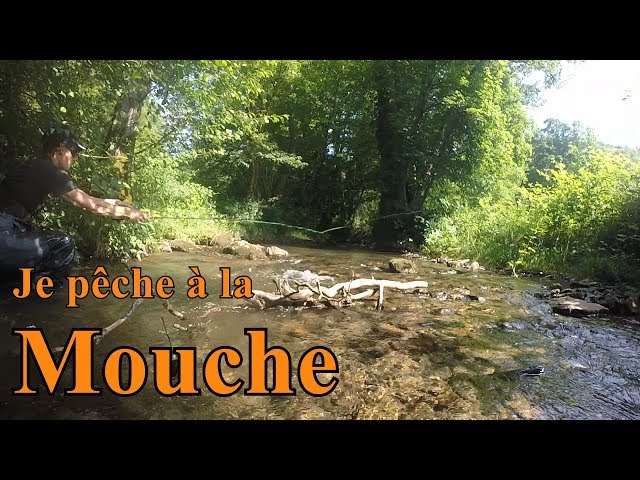 Et si on pêchait des truites à la mouche ?