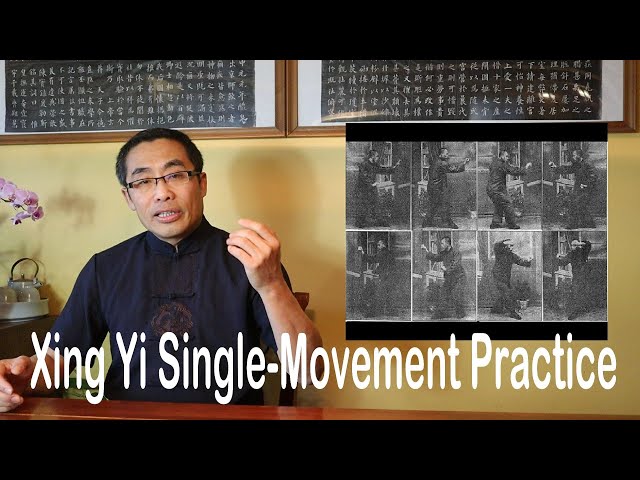 Internal Style Concepts (63): Xing Yi Single Movements - 单式 - Dan Shi