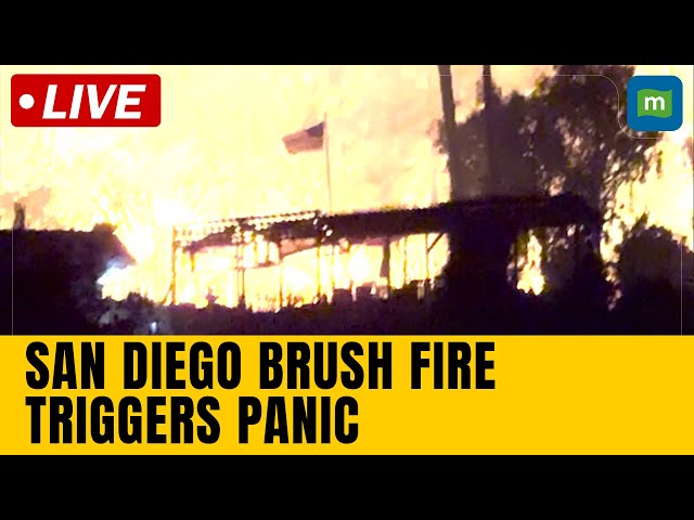 San Diego Fire LIVE Updates | Fire Scare In San Diego | San Diego Fire Evacuation Underway | N18G