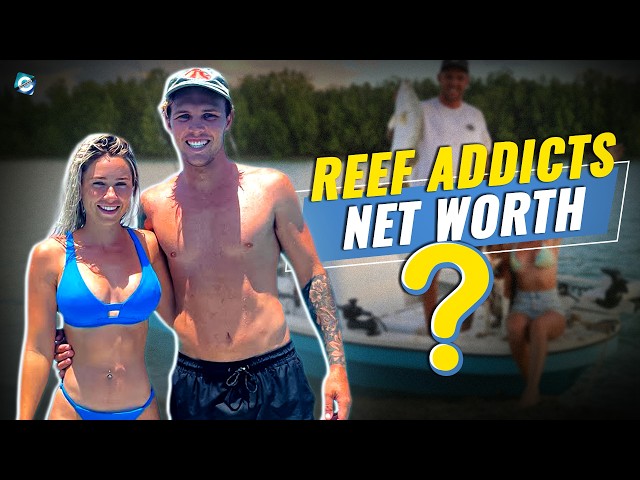 What happened to Reef Addicts Boat?