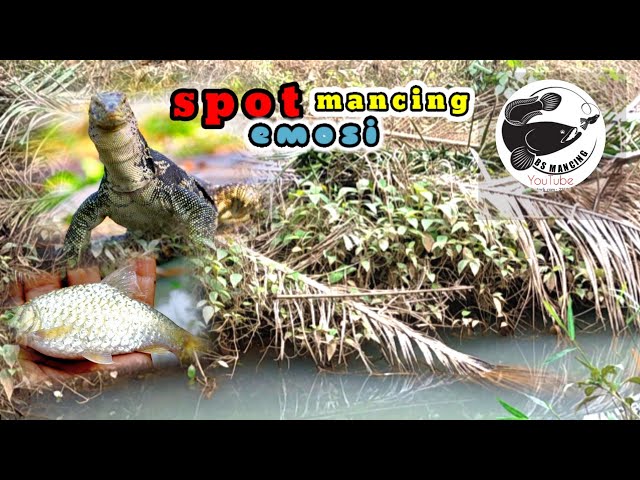 HO'OH TENAN SPOT WADER BIKIN EMOSI‼️MANCING IKAN WADER DI PARIT KECIL