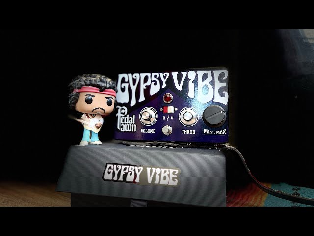 Pedal Pawn Gypsy Vibe | NO TALKING