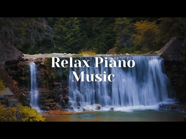 Deep Sleep Music 24/7, Calming Music, Insomnia, Sleep, Relaxing Music, Study, Sleep Meditation