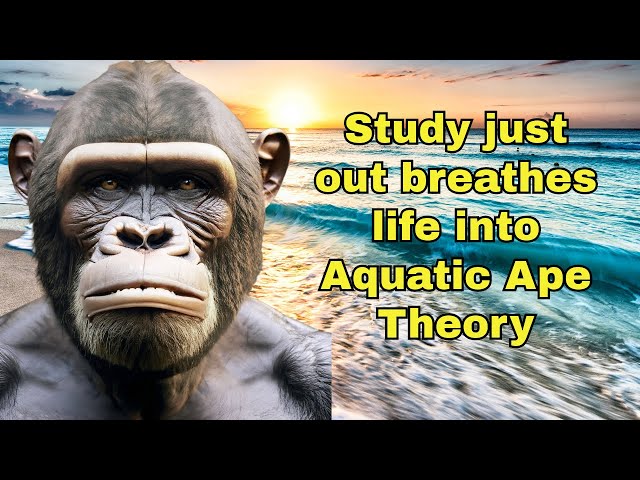 Aquatic Ape Theory: New study from Spain finds modern Euros uniquely adapted to Watery environments