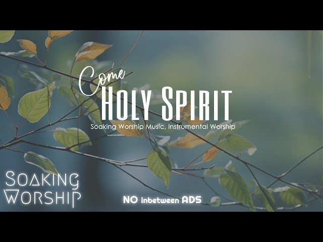 Come Holy Spirit: Beautiful Instrumental Worship Music, Christian Worship Music, Quiet Worship Music