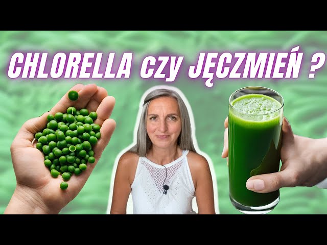 Jaki rodzaj zielonej żywności wybrać? Chlorella czy młody jęczmień?