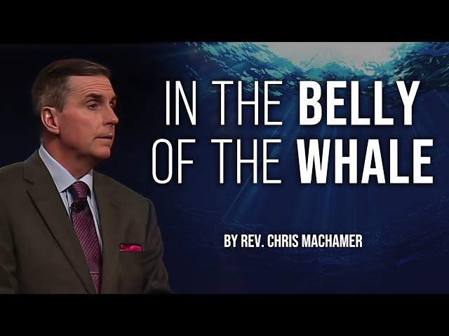 In the Belly of the Whale | Live