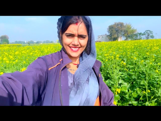 नया साल कैसा रहा  आपको #vlog  #youtube #meenu